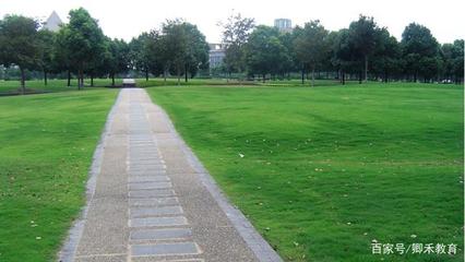 上海最美三所大學，景致與實力并存，考上學子皆不凡